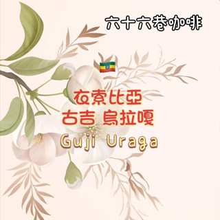 【六十六巷咖啡】衣索比亞｜古吉｜烏拉嘎｜淺烘焙｜水洗｜日曬｜半磅｜耳掛包｜新鮮烘焙咖啡豆｜咖啡豆｜免運費