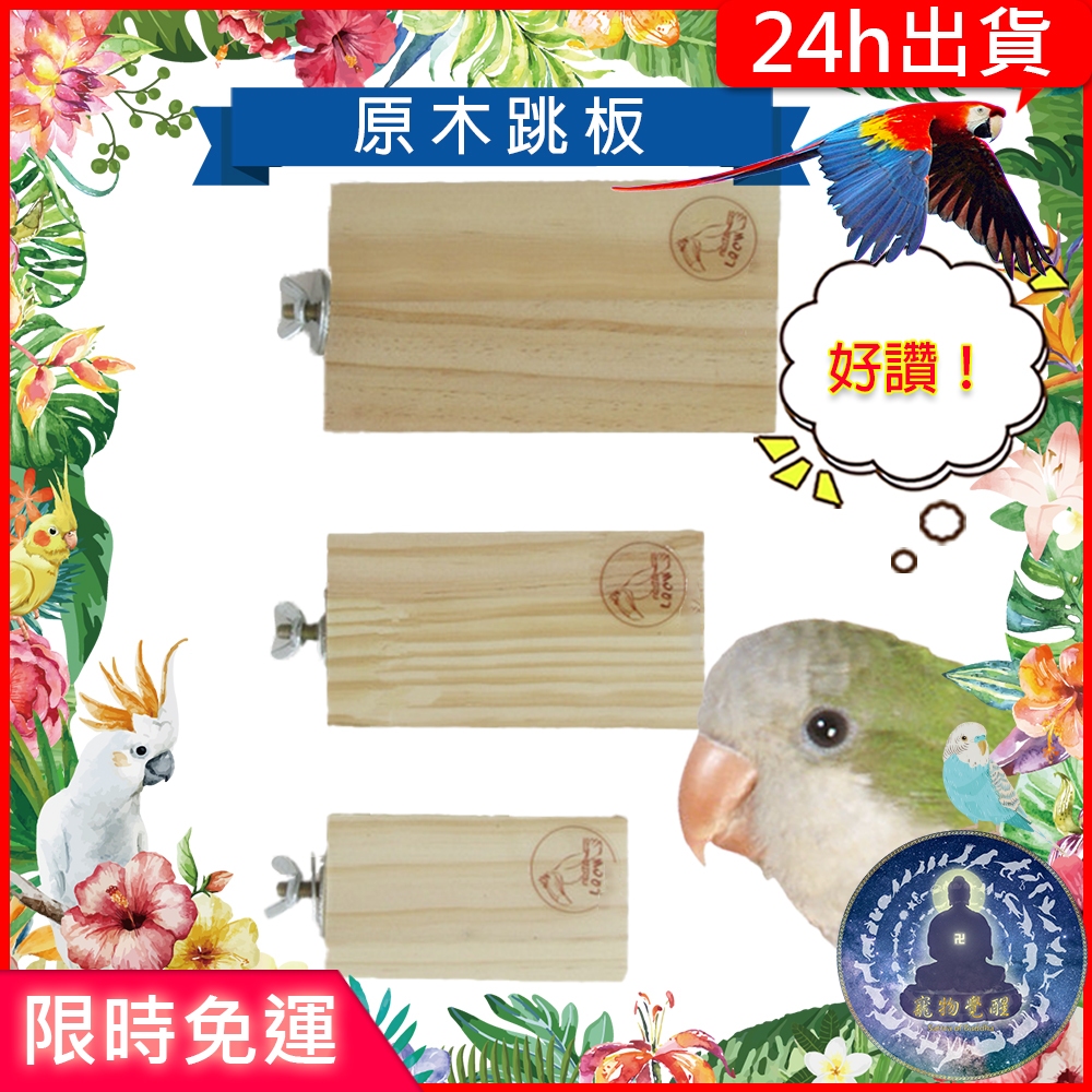 鸚鵡站台｜優惠推薦- 蝦皮購物- 2026年1月