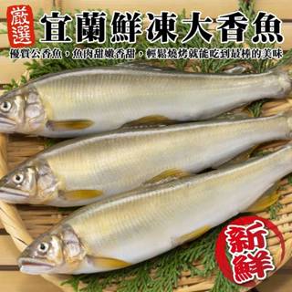 特選宜蘭鮮凍大尾香魚(每盒8尾/920g±10%含冰重)【海陸管家】滿額免運 香魚 公香魚 台灣香魚 鮮魚 下酒菜