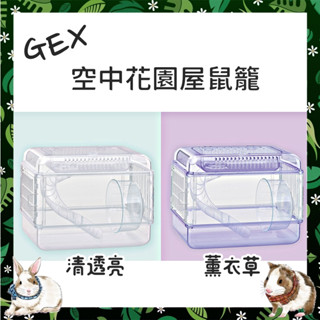 Mini Cavy♥ 雙面玻璃大透視！日本 GEX 空中花園 鼠籠 清透亮/薰衣草