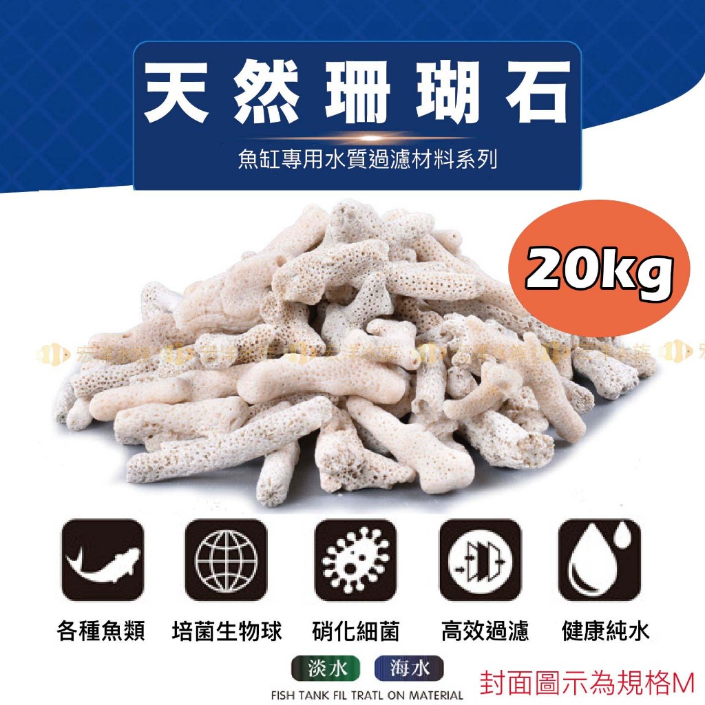 宏洋水族【20kg 珊瑚骨/珊瑚石/珊瑚砂/菲律賓砂】調節穩定PH／天然魚缸底砂用／過濾用／造景 底沙 底材 底砂 濾材