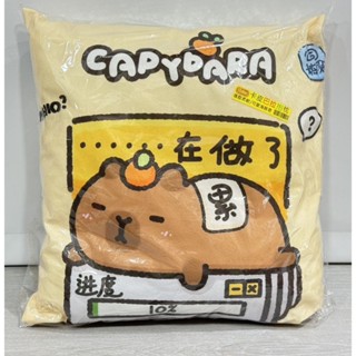 現貨 水豚君 卡皮巴拉 方形抱枕 35cm 雙面圖案 公司棟樑 午睡枕 坐墊 靠墊靠枕 柔軟舒適 椅墊 水豚君抱枕 禮物
