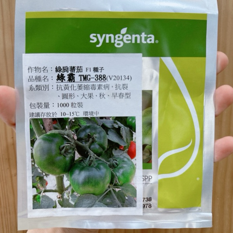 城禾農產🍃 綠霸番茄種子 10粒 一點紅番茄種子 綠霸番茄種子 大番茄種子 綠霸番茄種子 綠肩番茄種子 黑柿番茄種子