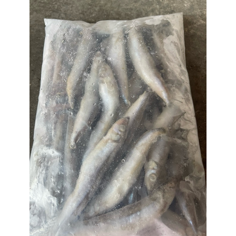 冰島單凍柳葉魚（一公斤210）
