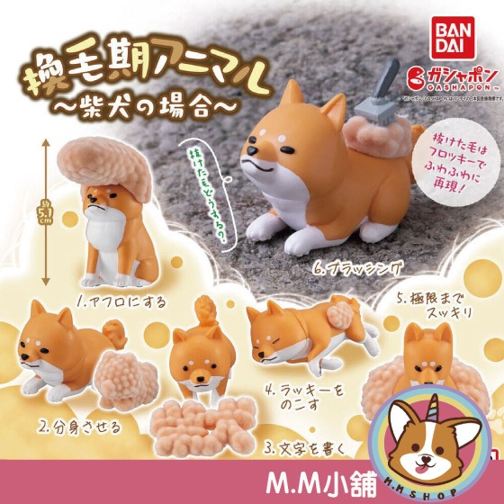 【M.M小舖】『現貨』BANDAI 轉蛋 扭蛋 換毛期的柴犬 換毛 柴犬 掉毛 公仔 狗狗 換毛期 梳毛 全6款