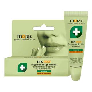 美生藥局｜效期：2026.10.30【Moraz茉娜姿】茉娜姿 修護唇膏 10ml