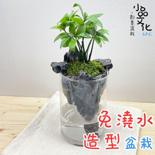 【小品文化】竹柏【現貨】仿真石景免澆水盆栽 懶人盆栽 觀葉植物 室內植物 自動吸水 創意花盆 居家辦公盆花