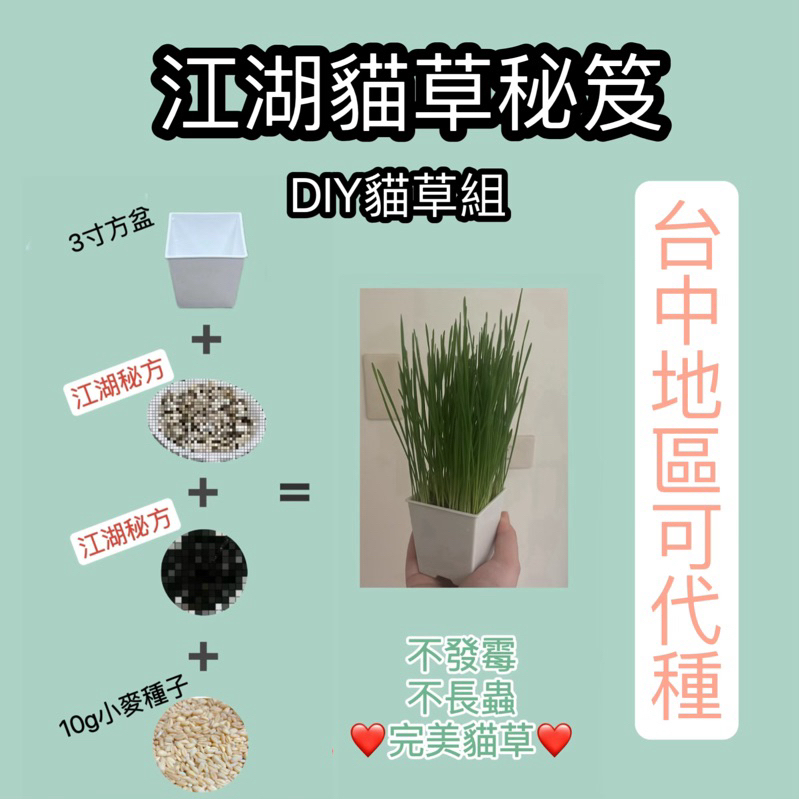 🍀吉古拉凍乾🍀貓草江湖秘笈 DIY貓草組  不發霉貓草 小麥種子 小麥草