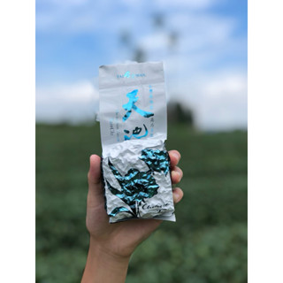福壽天池高山烏龍茶-福壽山-梨山
