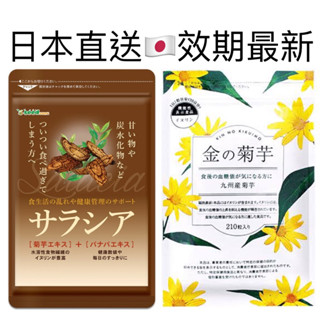 日本原裝進口 現貨 菊芋 五層龍 金的菊芋 黃金菊芋 巴拿巴 菊想 科羅索酸 大花紫薇 抗醣 抗糖