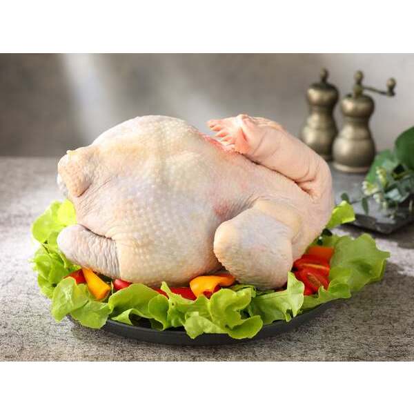 紅羽土雞/土雞肉/全雞/仿仔雞/仿土雞/雞肉/蛋白質(一隻約1.8~2kg)