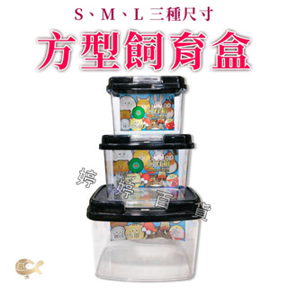 方型飼育盒 方形手提箱 寵物外出箱 飼養盒 小型寵物 烏龜 蜥蜴 甲蟲 蛇 老鼠 兔子 蜘蛛 角蛙 婷婷百貨 金金水族