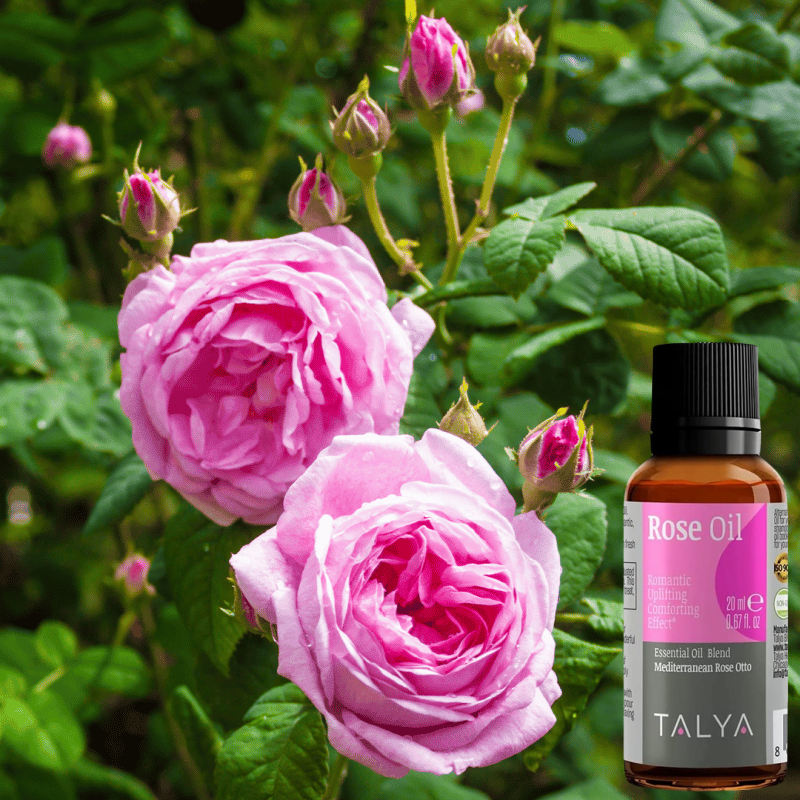 土耳其製造原裝 Talya土耳其玫瑰精油 鮮採玫瑰 清真認證 臉部和肌膚護理 保養油 精華油