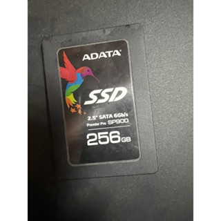 Adata 256g sad sp900