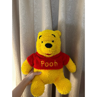 小熊維尼 Winnie the Pooh 維尼 娃娃 玩偶 布偶 二手 絨毛