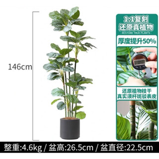 😇宅配免運費😇北歐風格 綠色大型植物 超美大型仿真植物 西瓜葉樹 落地盆栽 假綠植 客廳植物 裝飾藝術植物