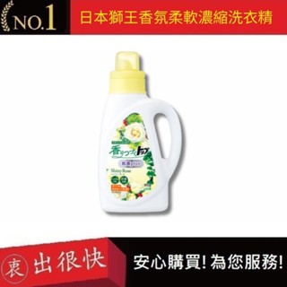 【日本獅王 LION】日本獅王香氛柔軟濃縮洗衣精-抗菌白玫瑰850g 抗菌洗衣精｜衷出很快