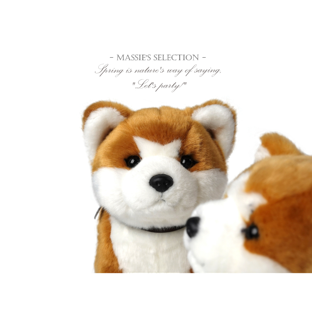 柴犬娃娃小隻的價格推薦- 2026年1月| 比價比個夠BigGo