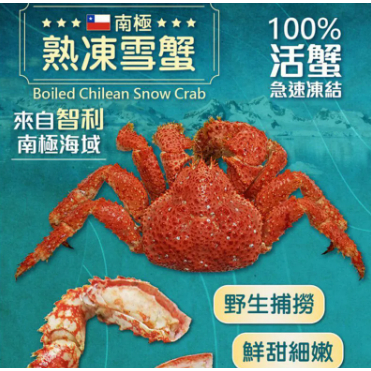 熟凍智利雪蟹 【真食材本舖・RealShop｜海鮮】