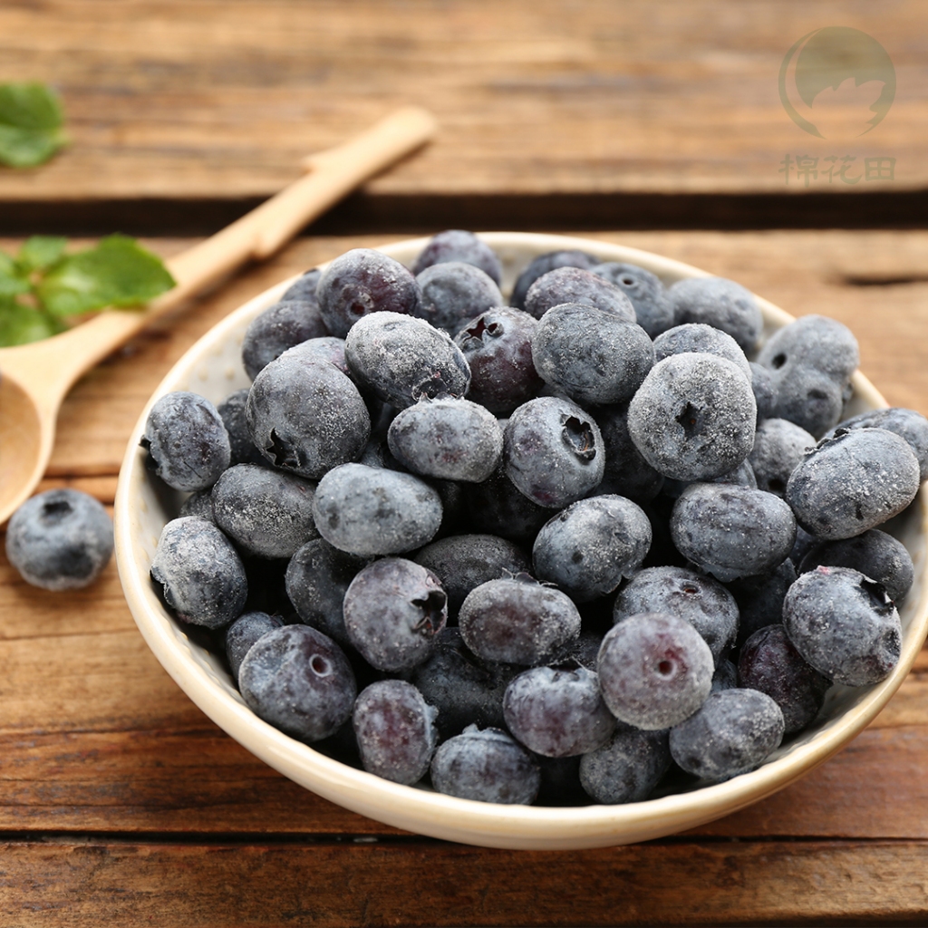 【天時】冷凍有機栽種藍莓｜無添加糖｜454g/包