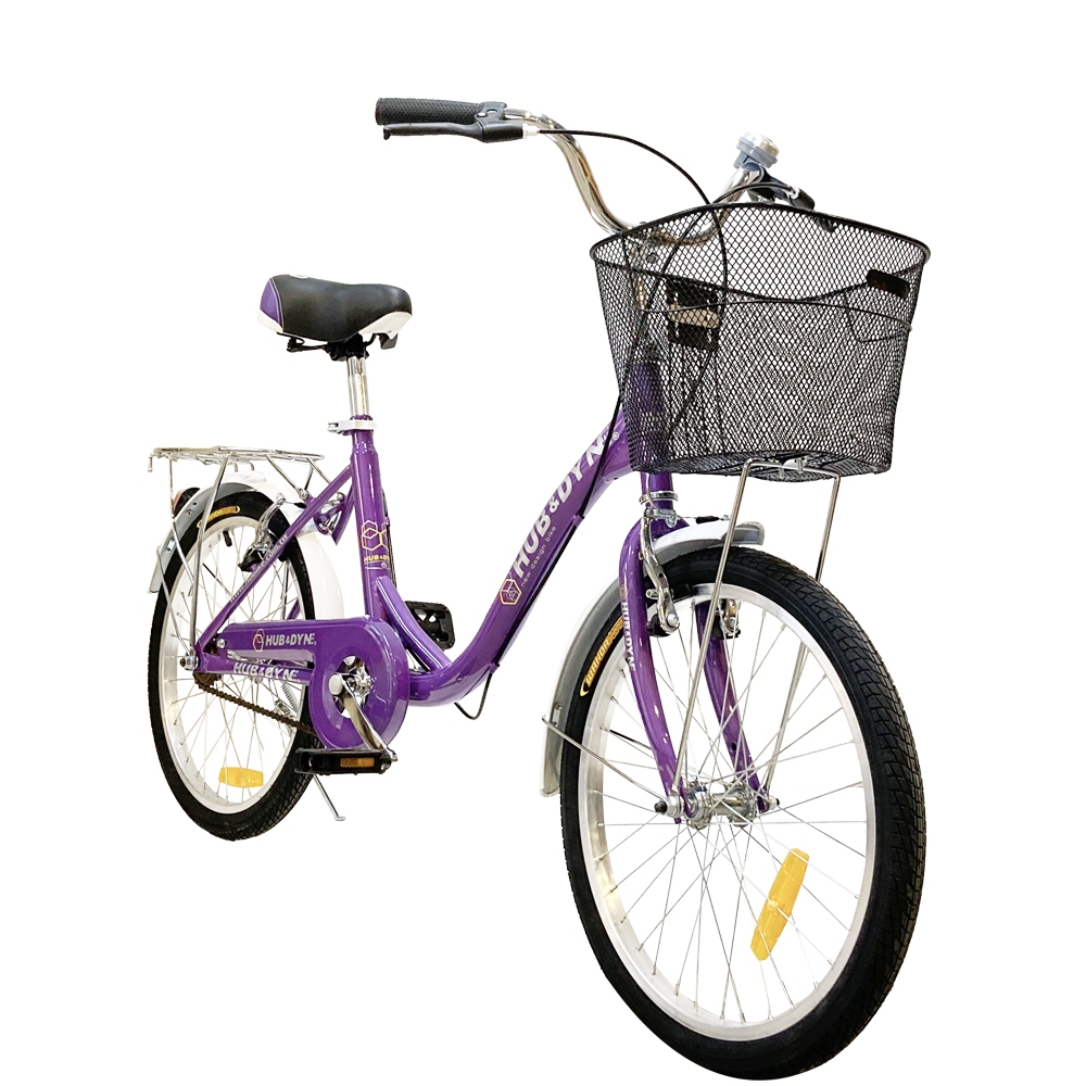 【H&amp;D】20吋單速淑女車 DIY版|140公分即可騎乘 代步腳踏車 買菜載貨 舒適大座墊 | 可成車寄送 車架一年保固