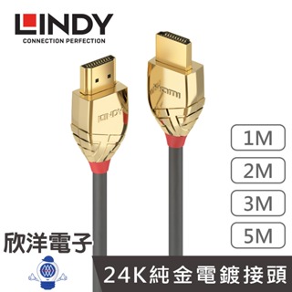 LINDY林帝 HDMI 2.1 HDMI線 GOLD LINE TYPE-A 公 公 傳輸線 1米 2米 3米 5米