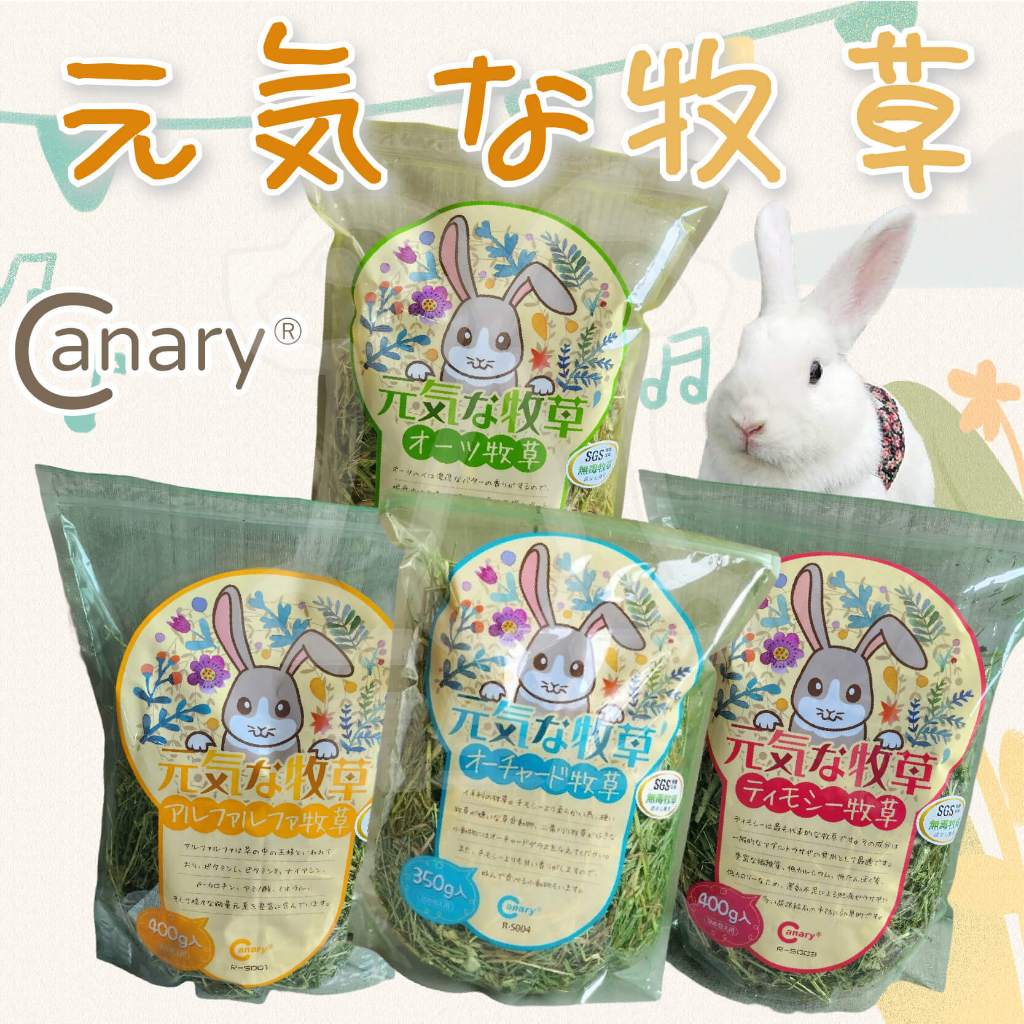 canary元氣牧草 牧草 兔用牧草 提摩西草 苜蓿草 燕麥草 小寵牧草 兔子牧草 天竺鼠牧草 提摩西 燕麥【寵生活】