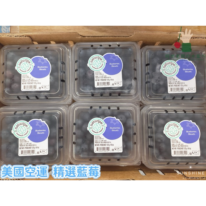 {空運藍莓} 美國/智利/祕魯 空運進口 精選藍莓 1盒裝 分裝寄出 冷藏配送 下單請問小助手