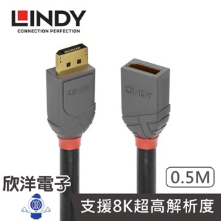 LINDY林帝 DISPLAYPORT 1.4版 公 TO 母 延長線 0.5M 50公分 (36495) DP延長線