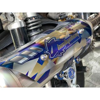 【CYuN】現貨✨HEDGEHOG 刺蝟 HS1 排氣管防燙蓋 蜂巢卡夢 鈦合金防燙蓋 碳纖維防燙蓋 排氣管/市售管