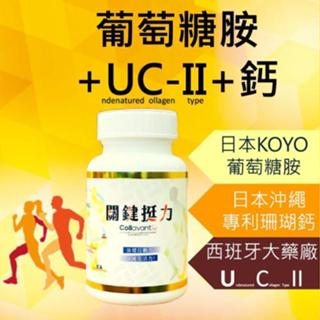 關鍵挺力 專利UC2 葡萄糖胺 鈣 UC-II glucosamine 二型膠原蛋白/ 維骨力/骨本/補鈣