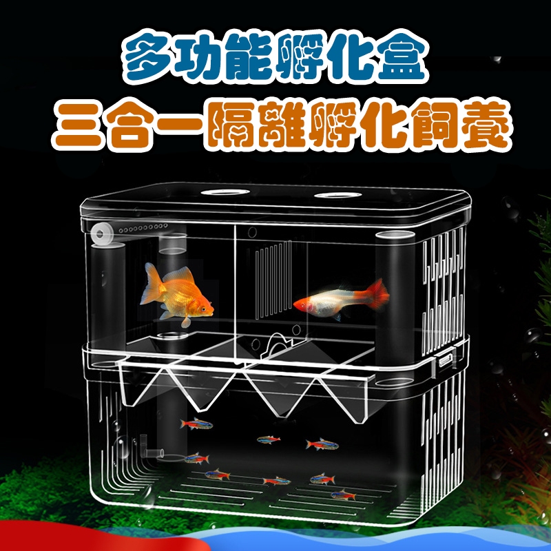 魚缸孵化盒 孔雀魚鬥魚隔離盒 小魚產卵器 水族繁殖盒