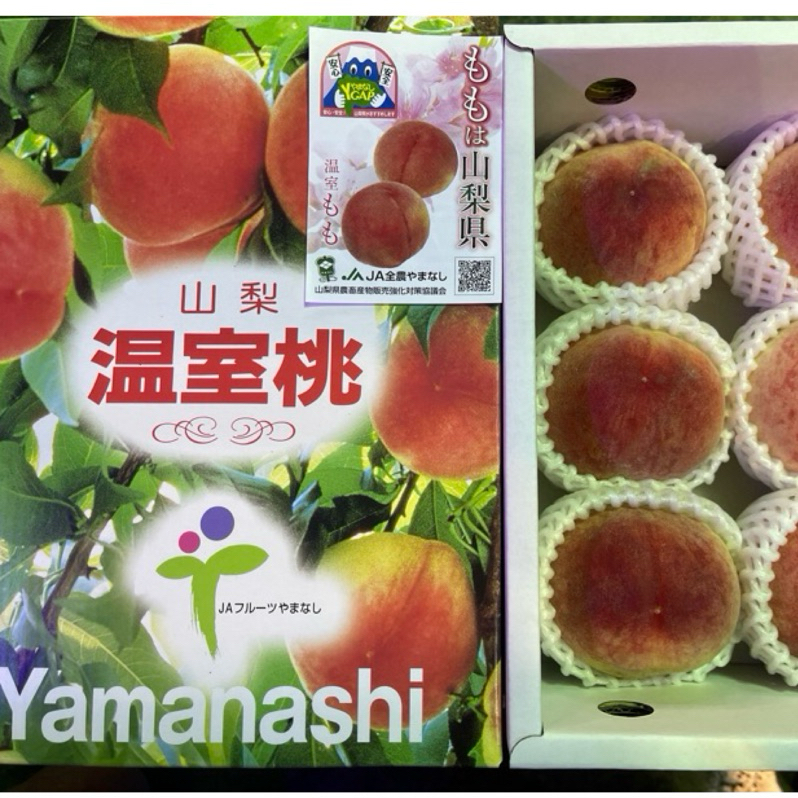 桃　白鳳　成木 桃 白鳳 成木 代表桃品種有白鳳同川中島白桃白鳳係七月中至下旬收成