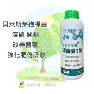 3罐優惠 磷佳溶1號 溶磷菌 貝萊斯芽孢桿菌 有益微生物 1公升