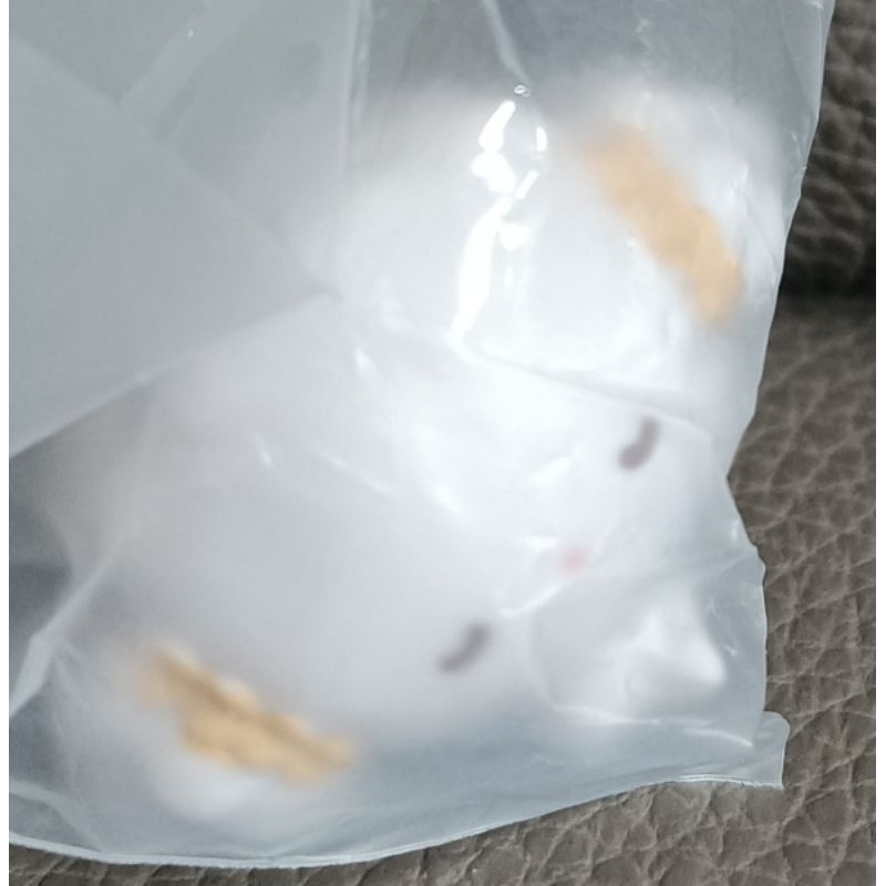 * 日本 三麗鷗 小麥粉精靈 睡覺 造型 公仔 擺飾