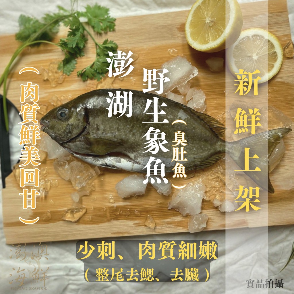 【 澎澳海鮮 】 澎湖 - 野生象魚(臭肚魚) (7-11超取限定1680免運)