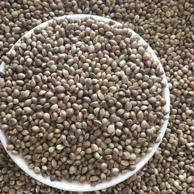 中藥火麻仁的價格推薦 - 2025年4月 | 比價比個夠BigGo