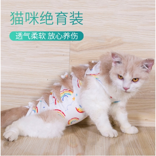 【台中快速出貨‼️】全新綁帶術後衣 貓咪絕育衣 手術服 斷奶服 棉布透氣 寵物衣服