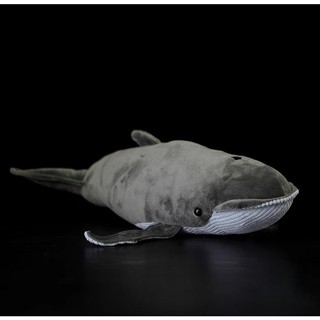 【那間模型】36公分 鯨魚 鬚鯨 藍鯨 海洋生物 娃娃 玩偶 絨毛玩具 抱枕 仿真動物 模型 公仔 野生動物 禮物 玩具