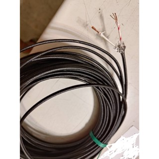 現貨 R-TYPE 黑 玻籤外層內多芯4/0.6*2C 補償導線 1M=數量1 補償級