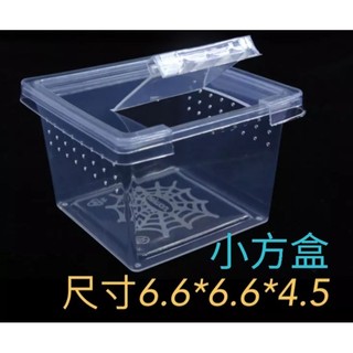 爬蟲飼養盒 方盒 小方盒 長方盒