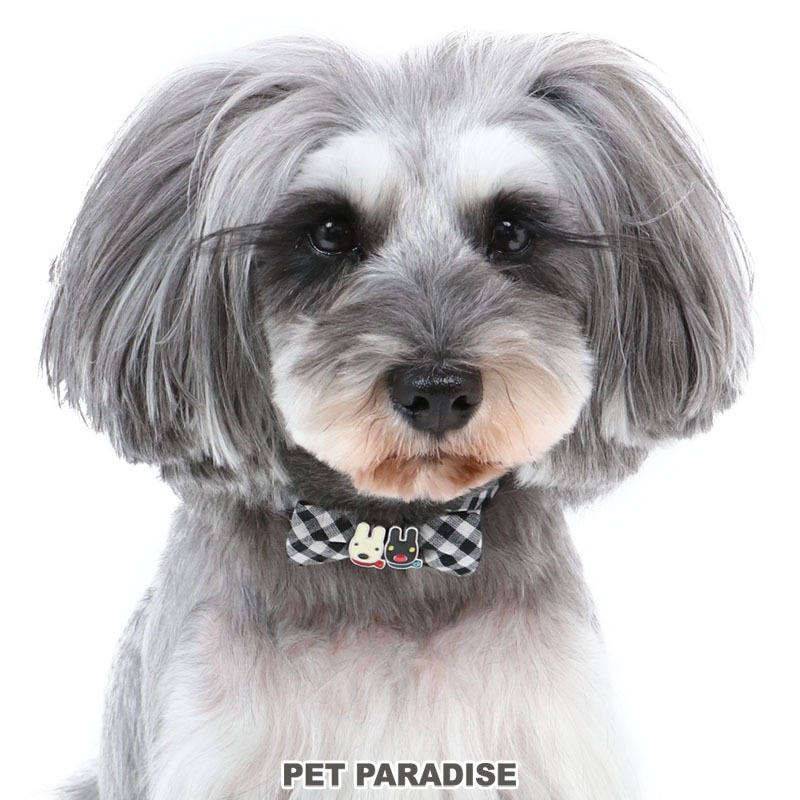 【PET PARADISE】寵物狗狗扣環項圈 (SS)｜Gaspard et Lisa 2022新款 寵物項圈