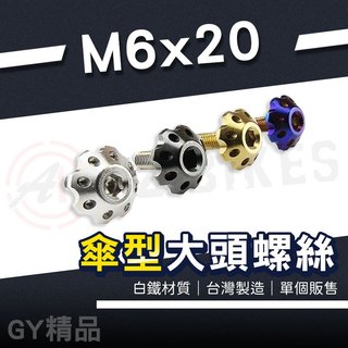 JZ 傑能｜車牌螺絲 M6x20 傘型螺絲 大頭螺絲 白鐵 大牌螺絲 牌照螺絲 裝飾螺絲 大牌 車牌 牌照 墊片 螺絲