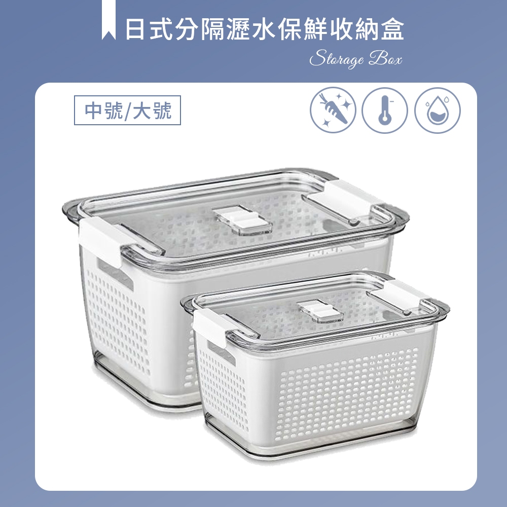 日式分隔瀝水保鮮收納盒-中號/大號 雞蛋盒/水果盒/冷凍盒