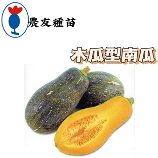 木瓜型南瓜 Squash 【農友種苗】 木瓜型南瓜種子 蔬菜原包裝種子 每包約6粒 保證新鮮種子