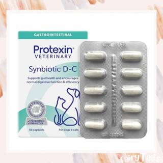 Synbiotic D-C 腸寶 犬貓用益生菌 狗狗益生菌 貓咪益生菌 寵物益生菌 貓狗益生菌 50膠囊
