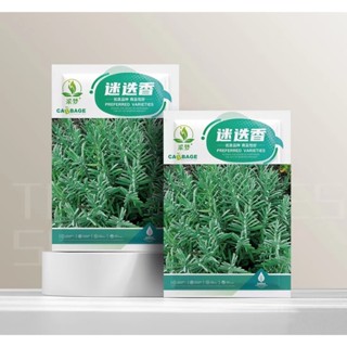 【原裝100粒】迷迭香種子盆栽植物特色香草種子艾菊種子濃香型驅蚊綠植觀賞食用種子保真包對版，假一罰三