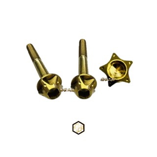 御前二輪機車精品✨OVERTI 鈦合金螺絲 M6系列 星型 勁戰 傳動蓋螺絲 車廂螺絲 土除螺絲 大頭內六角 鈦螺絲✨