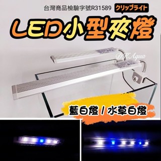 2種長度★LED藍白夾燈 LED燈 藍白燈 全白燈 水草燈 水族燈 魚缸燈 水族箱燈具 側夾燈 電燈 便宜夾燈