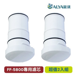 ALYA歐漾 中空絲膜 載銀椰殼活性碳濾芯2入組(FF-20UF) 龍頭式淨水器用FF-5800 臺灣製造 除氯 除菌